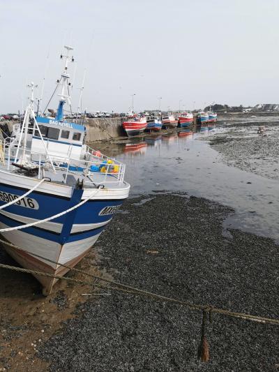 le port de roscoff